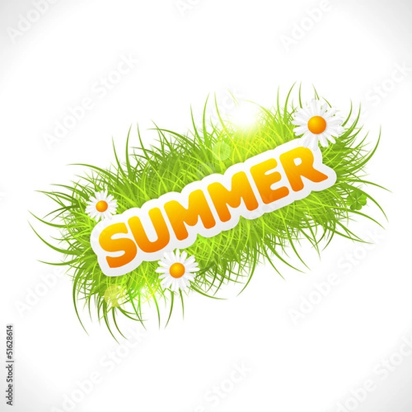 Fototapeta word summer with fresh green grass