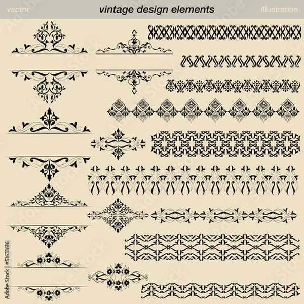 Obraz vintage design element
