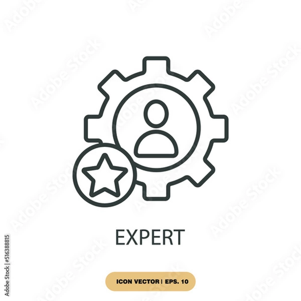 Fototapeta expert icons  symbol vector elements for infographic web