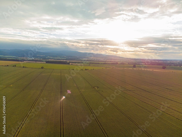 Obraz sunset over the fields