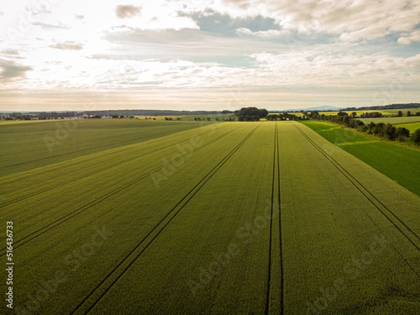 Obraz landscape with field and sky