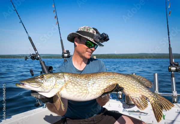 Obraz Big lake pike on trolling