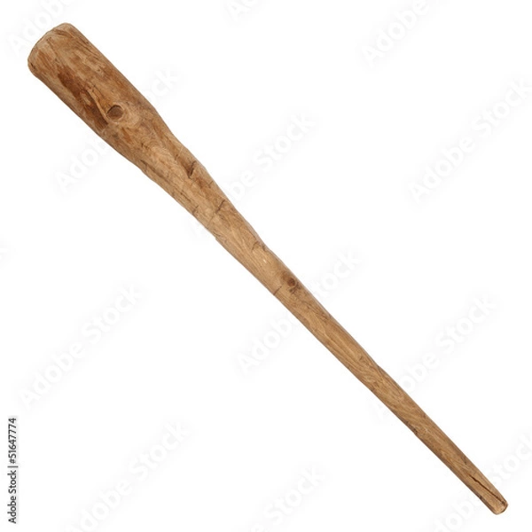 Obraz Wooden cudgel