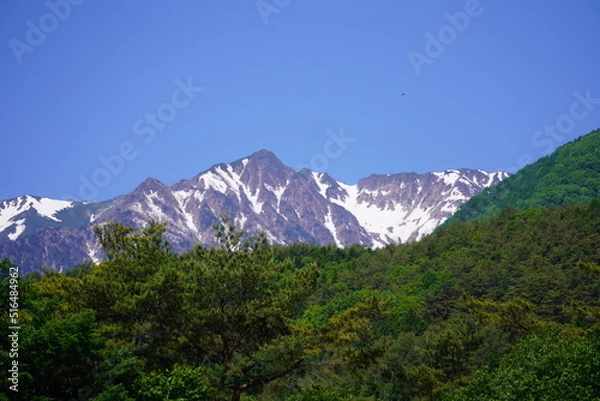 Obraz 山