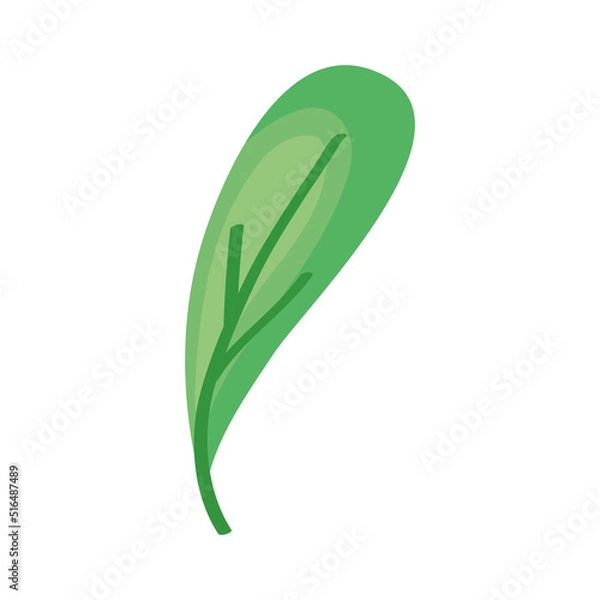 Fototapeta green leaf design