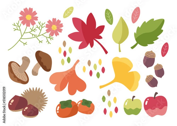 Fototapeta 秋のイラストセット