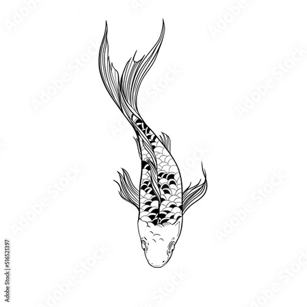 Obraz Koi Fish line art