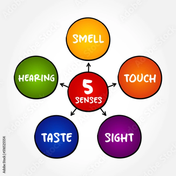Fototapeta Five basic human senses: touch, sight, hearing, smell and taste,  mind map concept for presentations and reports