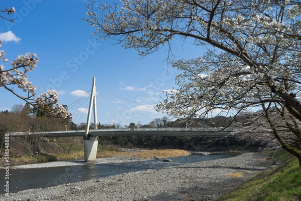 Obraz 春の釜の淵公園