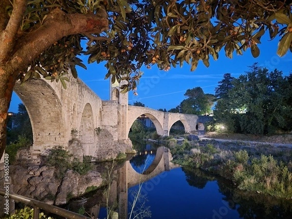 Obraz pont du gard