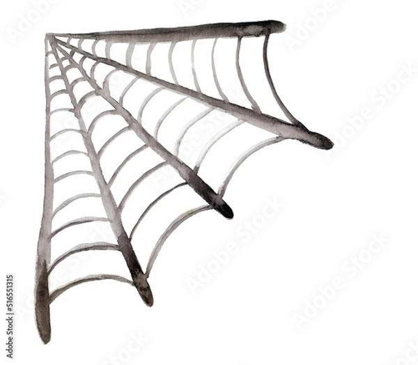 Fototapeta Halloween background of watercolor spider's web on white background