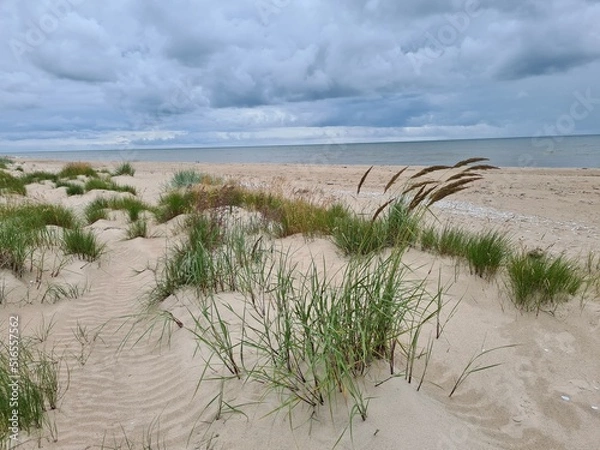 Obraz sand dunes and beach