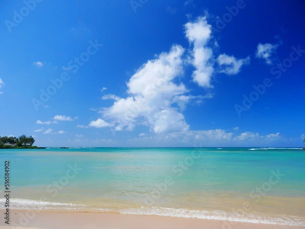 Fototapeta ハワイ、オアフ島、晴天のカウェラベイビーチパーク