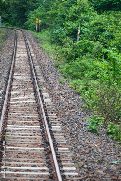 Fototapeta 東北の山間を走るローカル線