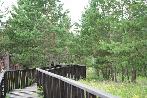 Fototapeta Summer Blooms