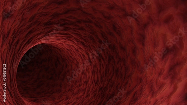 Obraz Red blood vessel of a human. Concept of medicine and anatomy. The texture of blood vessels, 3d rendering
