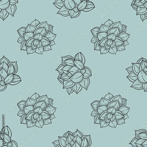 Obraz vector abstract seamless pattern with echeveria plant-03