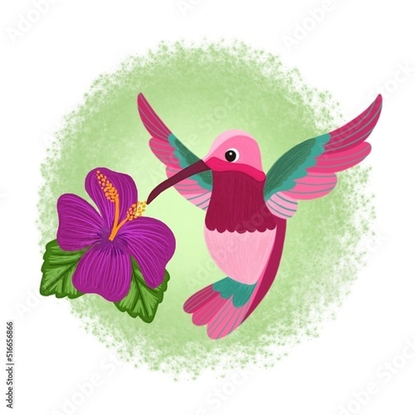 Obraz hummingbird and flower
