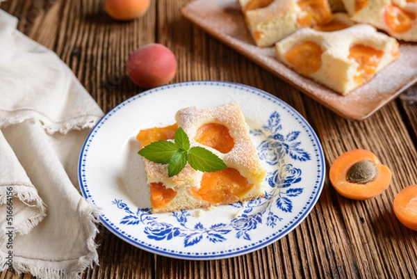 Fototapeta Homemade apricot sponge cake sprinkled with powdered sugar