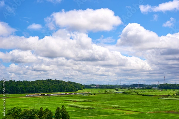 Obraz 田園を行く成田エキスプレス　佐倉市