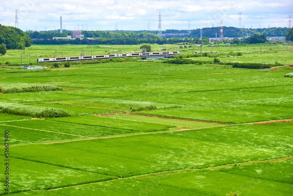 Fototapeta 田園を行く成田エキスプレス　佐倉市