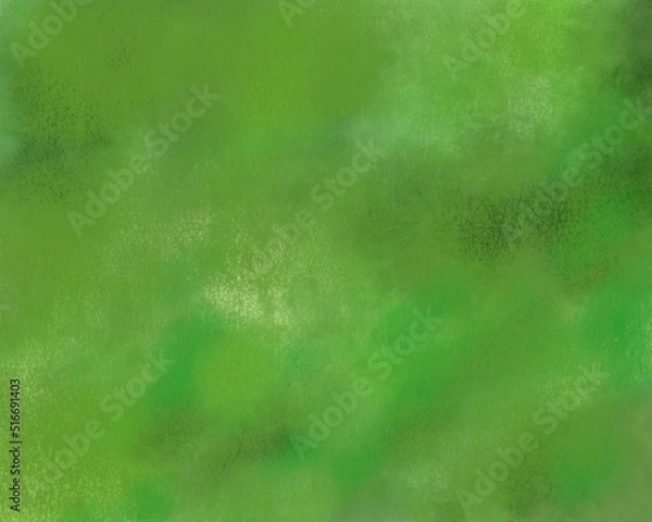 Fototapeta 森の中01