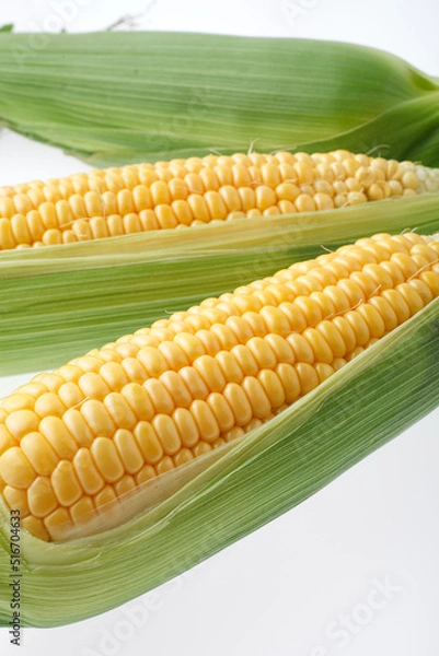 Fototapeta とうもろこし　白バック