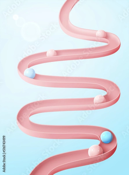Fototapeta 3d healthy gut model