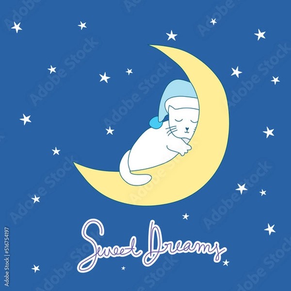 Obraz Hand drawn vector illustration of cute cat sleeping in the moon on night sky 