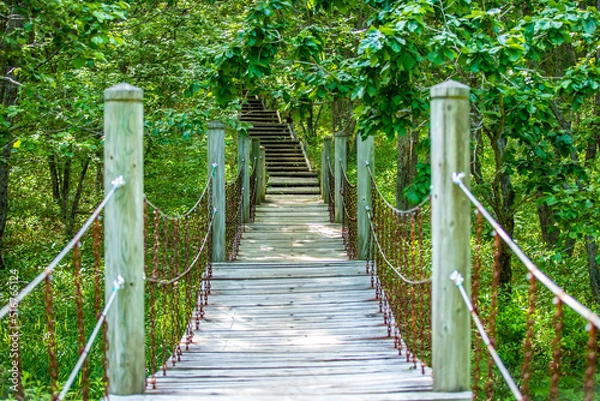 Fototapeta 釧路湿原　北斗展望台に続く道
