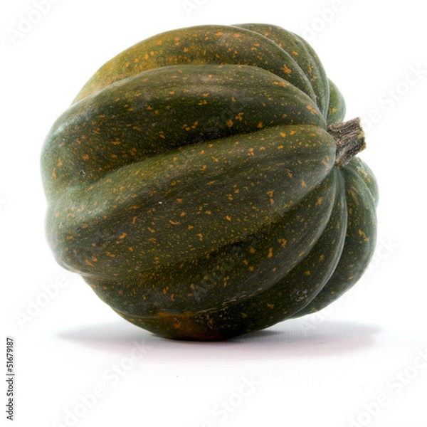 Obraz Acorn Squash Isolated on White Background