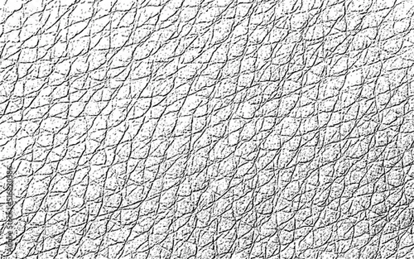 Obraz leather texture vector illustration design 