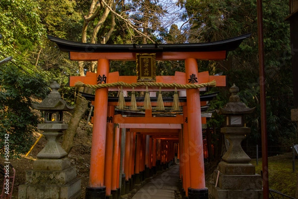 Obraz dark path through torii gates