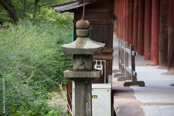 Obraz lantern in the garden