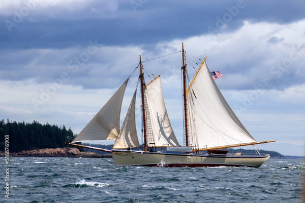 Obraz sailing in the sea