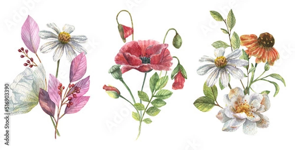 Obraz Delicate sets of wild flowers of chamomile, poppies, viola with field greens. Floral, watercolor illustration isolated on white background.