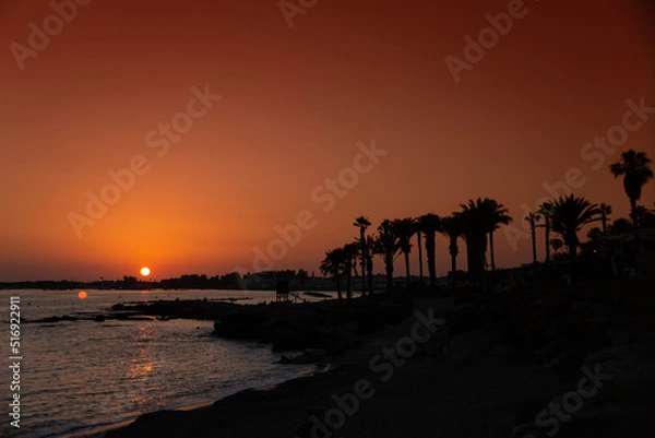 Fototapeta Beautiful sunset with palm trees in Kato Paphos.