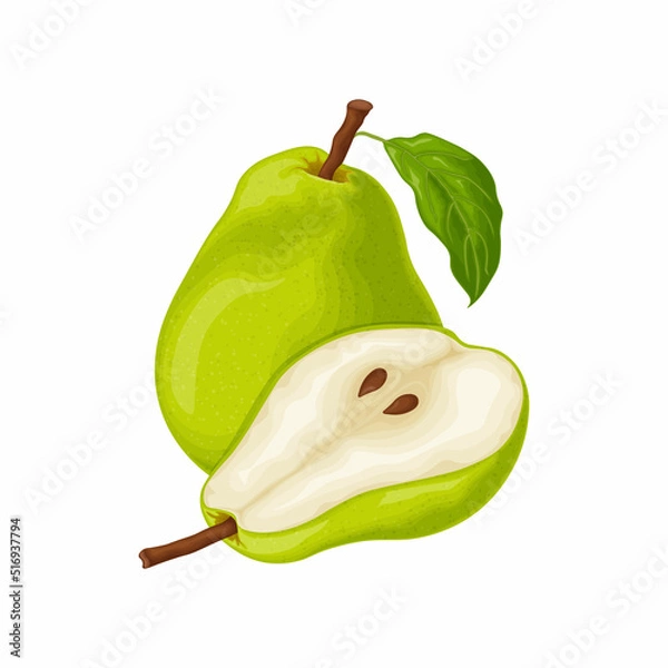 Fototapeta Pear. An image of a ripe green pear. A cut piece of pear. Sweet fruit from the garden. Vegetarian vitamin product. Vector illustration