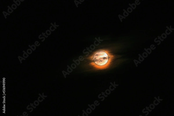 Obraz moon in the night