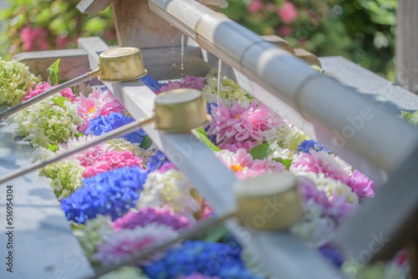 Fototapeta 日光を浴びる鮮やかな花手水