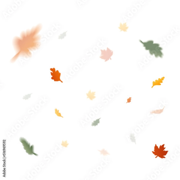 Fototapeta Bright flying autumn leaves seamless pattern isolated on white background