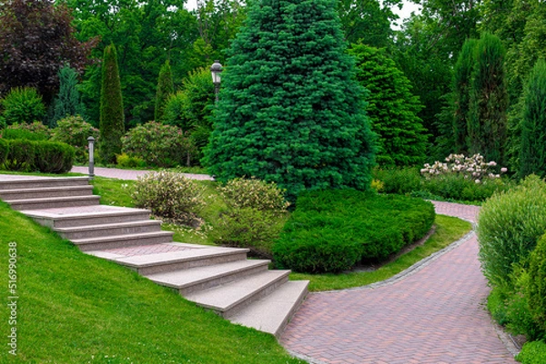 Fototapeta stone steps to path from paving slabs in park on slope with ornamental plants, evergreen bushes and trees, backyard landscaping with green lawn place for walk, iron lantern and drain system, nobody.