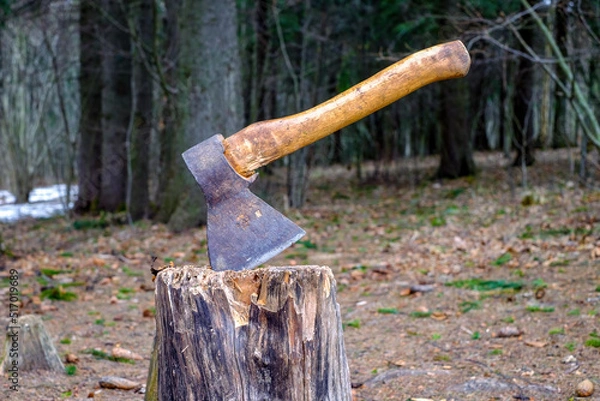 Fototapeta An old axe stuck in a tree stump in the forest