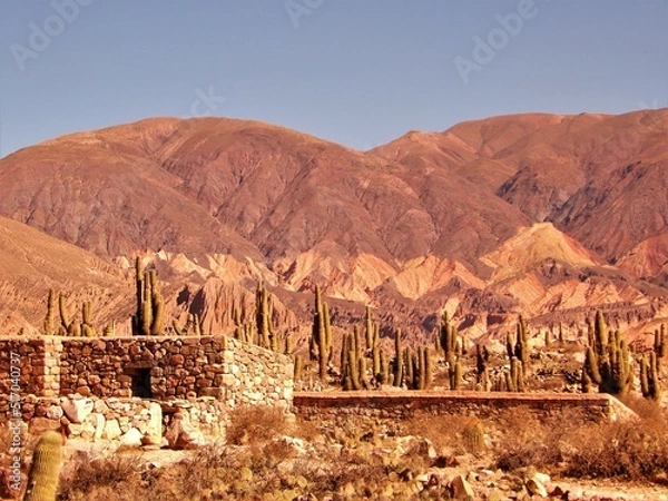 Obraz casa de piedra en el desierto 
