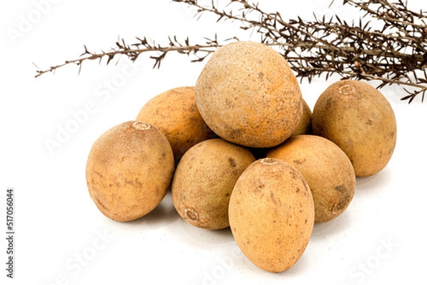 Fototapeta fresh Sapodilla fruit isolated in white background, studio lighting, macro detailing, composition with elements, no one, copy space, negative space, multiple Sapodilla isolated