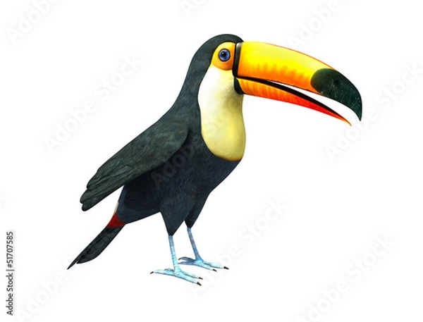 Fototapeta Toucan, Isolated On White Background