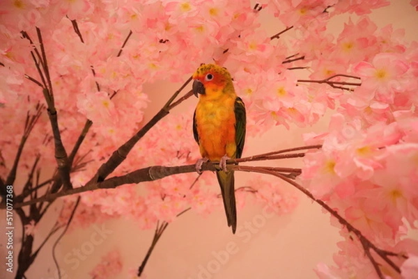 Obraz parrot in the tree