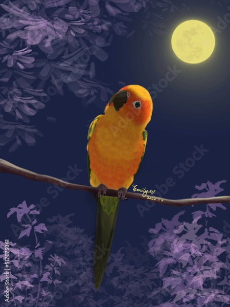 Obraz parrot in the night