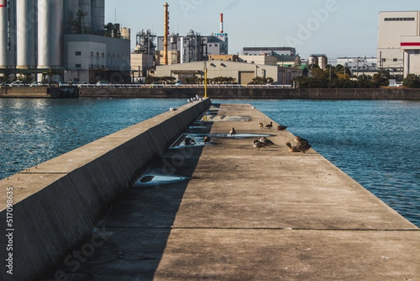 Obraz カモメと桟橋