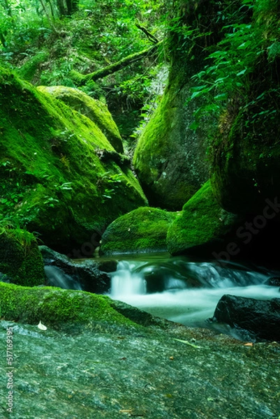 Obraz 川の流れのように